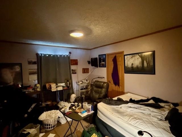 N5070 Pfaff Road Mauston, WI 53948 - Photo 21 of 31