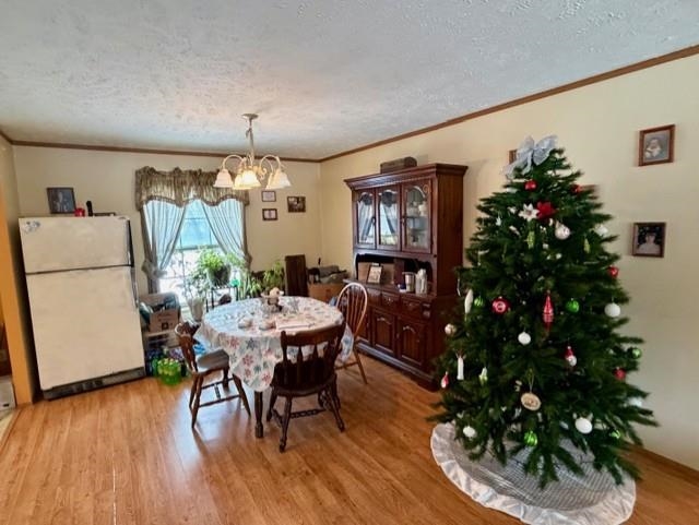 N5070 Pfaff Road Mauston, WI 53948 - Photo 9 of 31