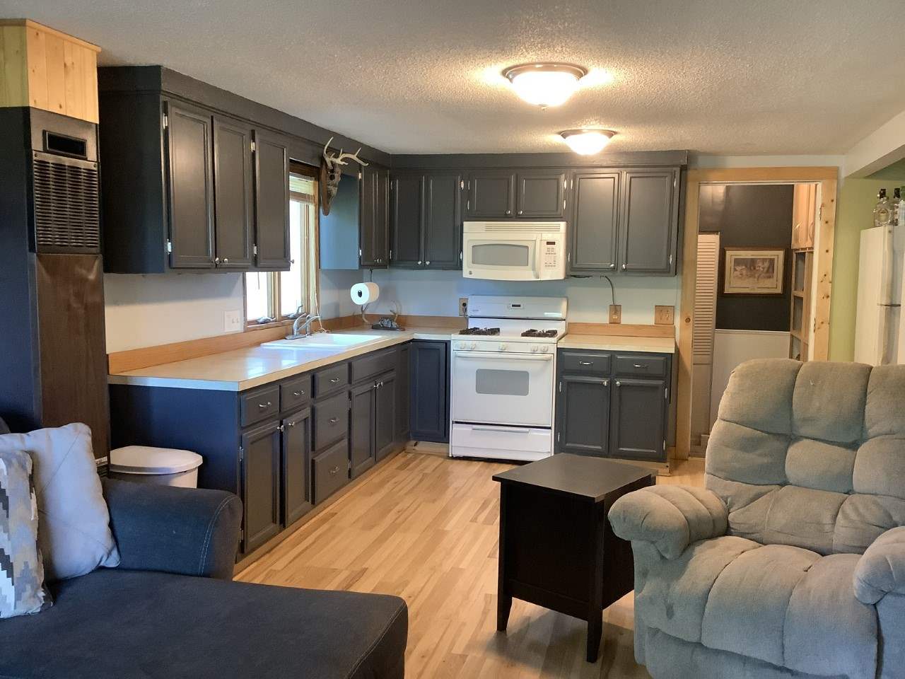 8570 West Adams Road Elwell, MI 48832 - Photo 5 of 14 1875586-4.JPG