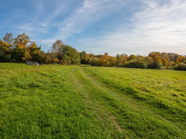 a view of an ocean and beach