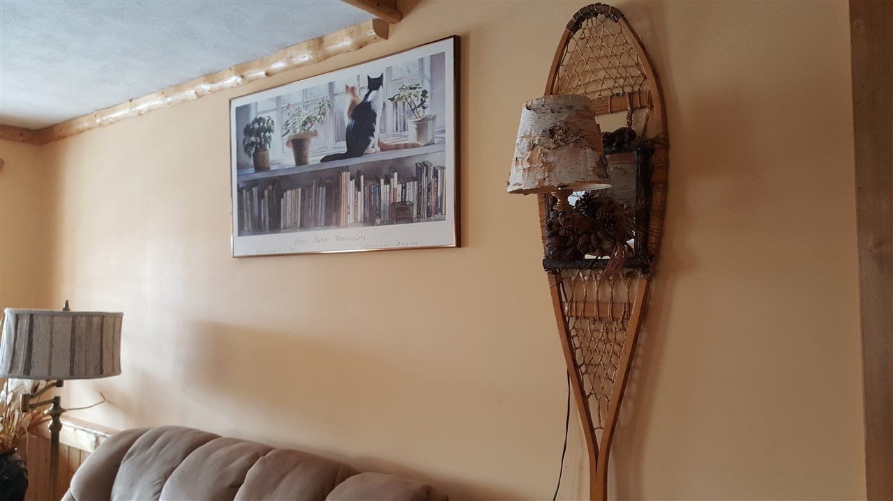 4920 Ritt Road Bellaire, MI 49615 - Photo 19 of 68 1812474-22.JPG