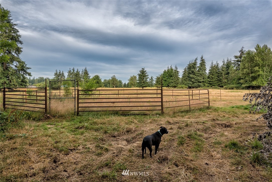 3164 Arnie Road Custer, WA 98240 - Photo 7 of 21