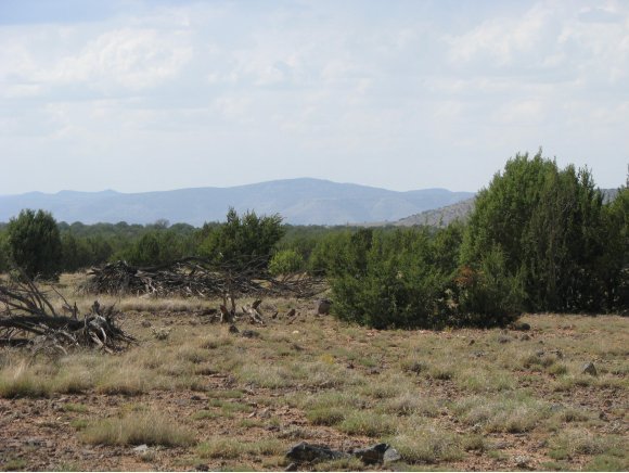 115 Raging Crab Road Ash Fork, AZ 86320 - Photo 12 of 13 Additional Photo