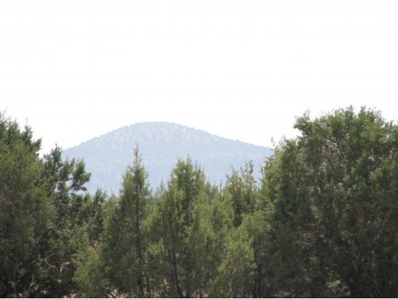 115 Raging Crab Road Ash Fork, AZ 86320 - Photo 3 of 13 Additional Photo