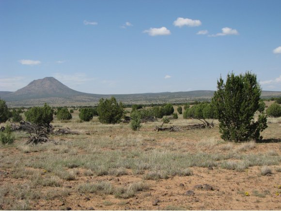 115 Raging Crab Road Ash Fork, AZ 86320 - Photo 6 of 13 Additional Photo