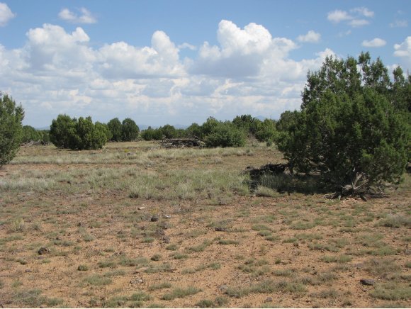 115 Raging Crab Road Ash Fork, AZ 86320 - Photo 8 of 13 Additional Photo