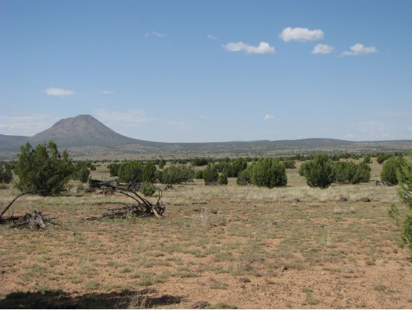 115 Raging Crab Road Ash Fork, AZ 86320 - Photo 10 of 13 Additional Photo