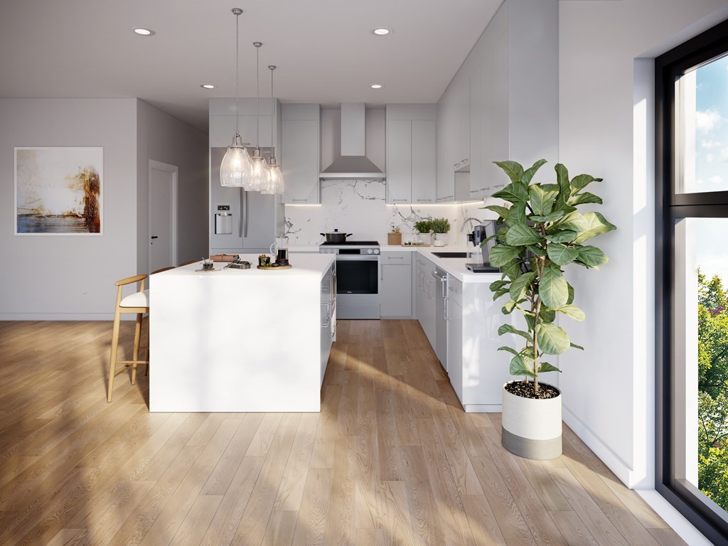 44 Cottage Street, Unit 1 Boston, MA 02128 - Photo 4 of 10 a kitchen with a potted plant and a wooden floor