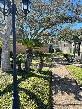 a view of a yard with plants