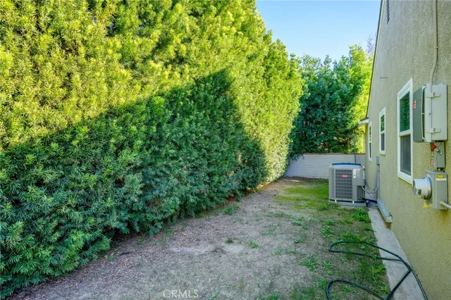 a view of a yard with plants and large trees