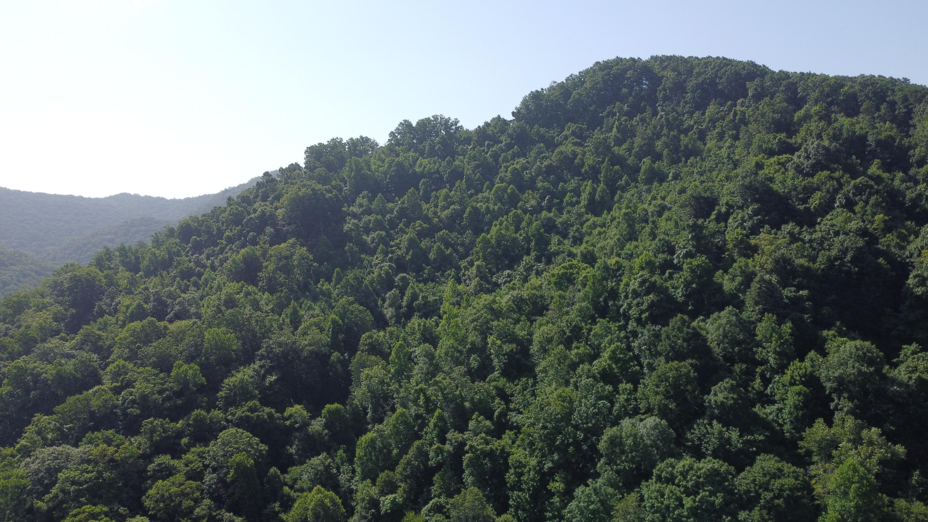 9999 Darby Branch Road Manchester, KY 40962 - Photo 16 of 23 DJI_0160