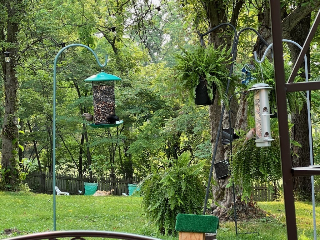 11147 Knightsbridge Lane Fishers, IN 46037 - Photo 34 of 39