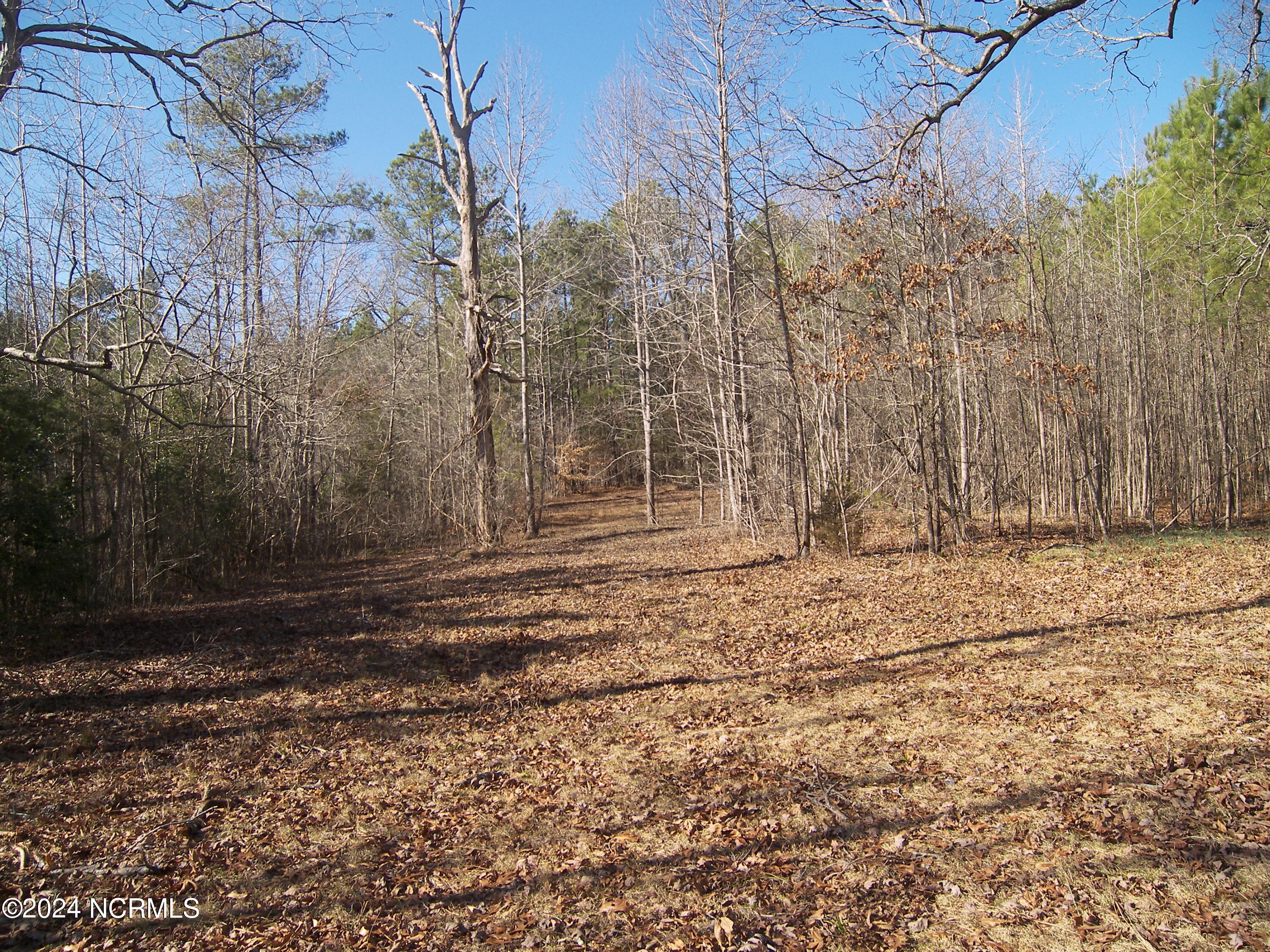 0 Seven Paths Road Spring Hope, NC 27882 - Photo 3 of 7 100_8017