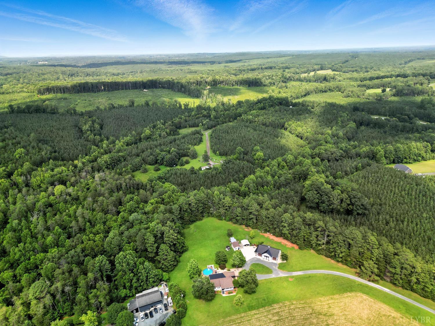 1348 Salem Road Spout Spring, VA 24593 - Photo 70 of 89 a view of a garden