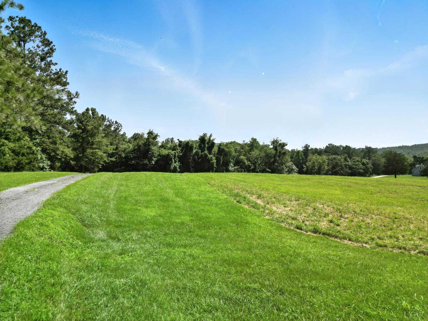 1348 Salem Road Spout Spring, VA 24593 - Photo 83 of 89 a view of field with grass and trees in the background