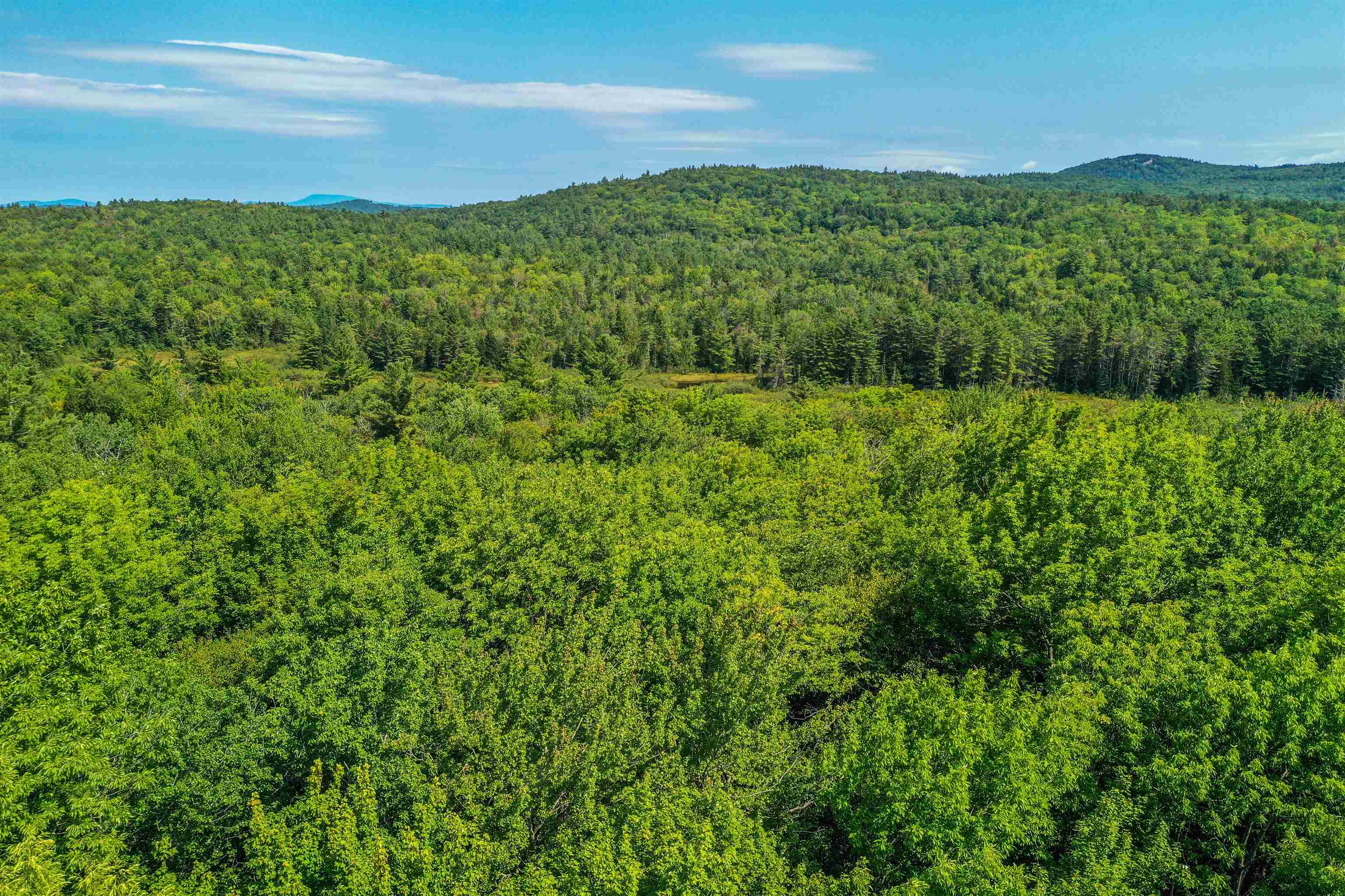 0 Town Farm Road, Unit MAP 35/LOT 317 Springfield, NH 03284 - Photo 4 of 7