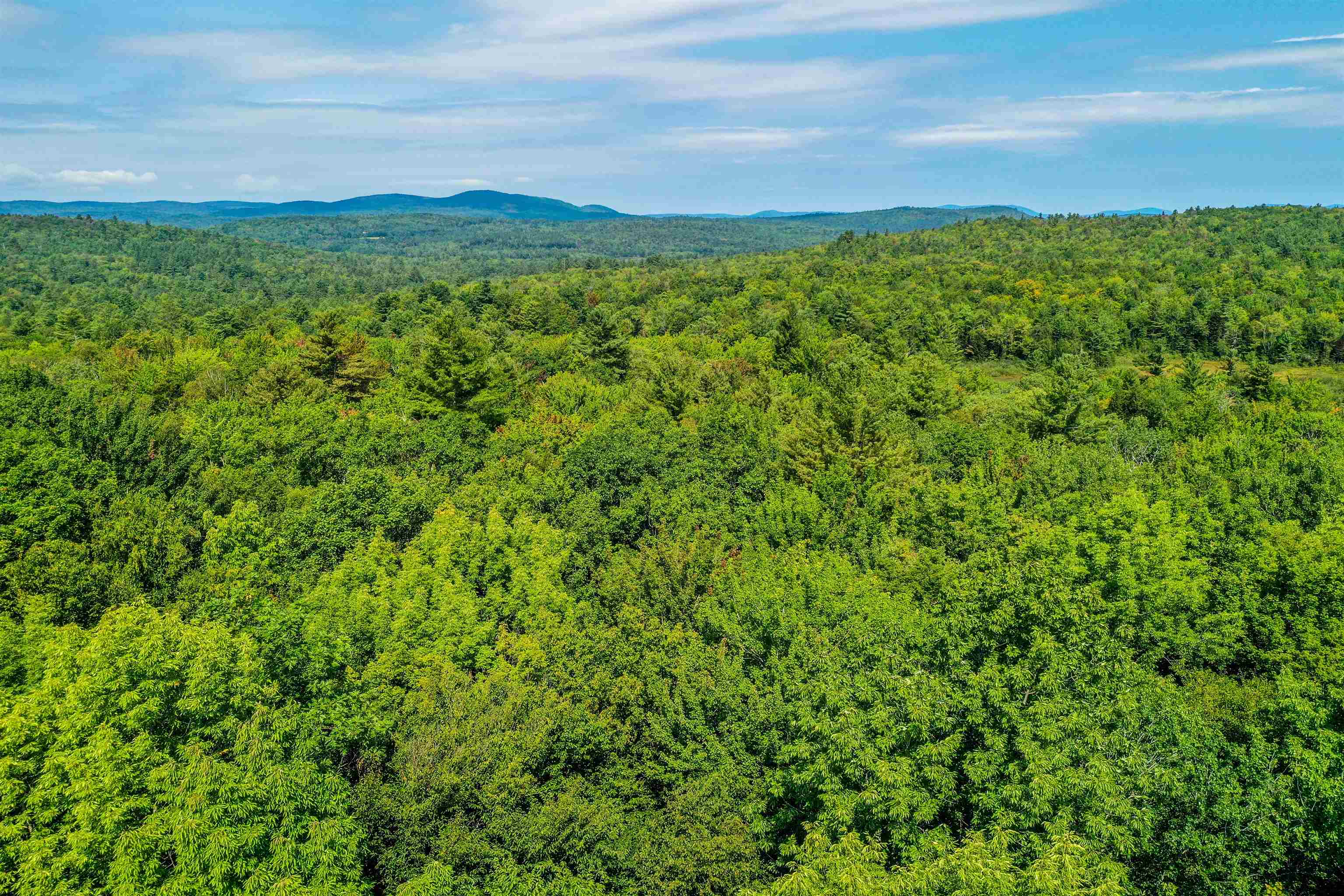 0 Town Farm Road, Unit MAP 35/LOT 317 Springfield, NH 03284 - Photo 5 of 7