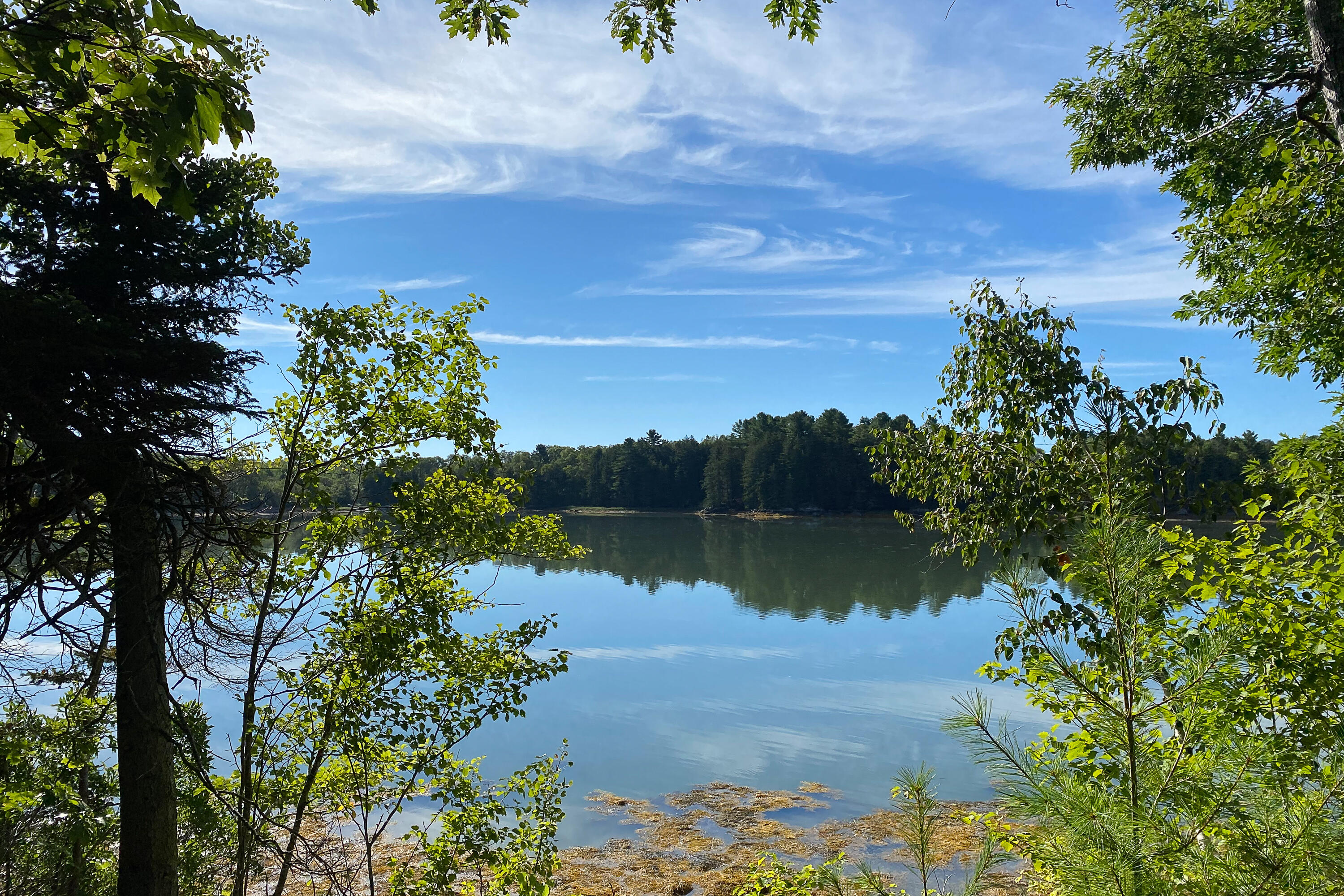 Lot 8 Treasure Point Road Tenants Harbor, ME 04860 - Photo 22 of 35 00TreasurePoint_LAND_29_S_print