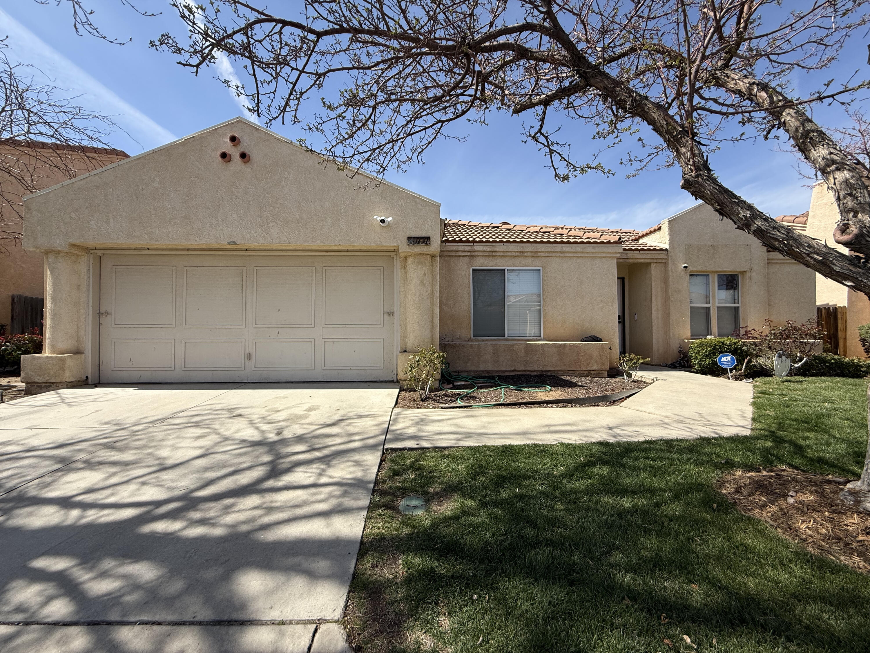 a view of yellow house with a yard and large tree