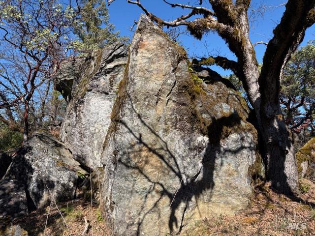 58921 George Washington Rock Road Leggett, CA 95585 - Photo 7 of 13 a view of a tree in a yard