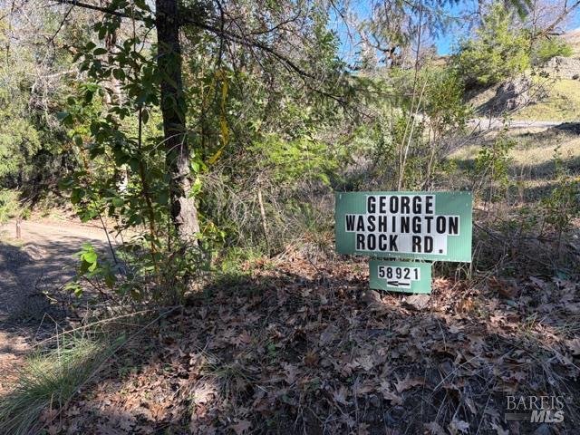 58921 George Washington Rock Road Leggett, CA 95585 - Photo 8 of 13 a sign of golf club on a tree