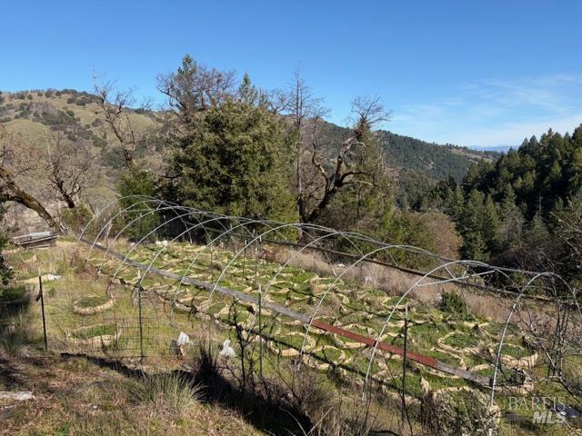 58921 George Washington Rock Road Leggett, CA 95585 - Photo 9 of 13 a view of a forest with a mountain