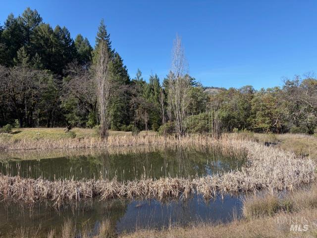 58921 George Washington Rock Road Leggett, CA 95585 - Photo 10 of 13 a view of lake