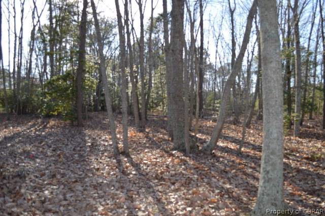 0 Timberline Drive Reedville, VA 22539 - Photo 6 of 9