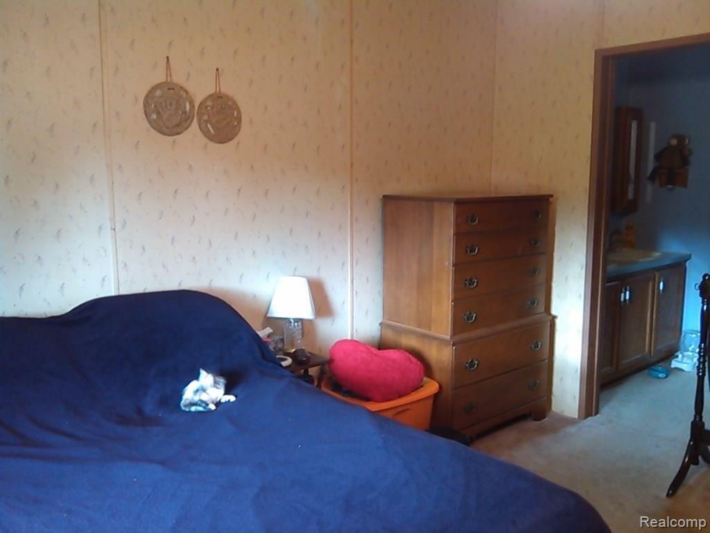 3987 Daley Road Attica, MI 48412 - Photo 16 of 25