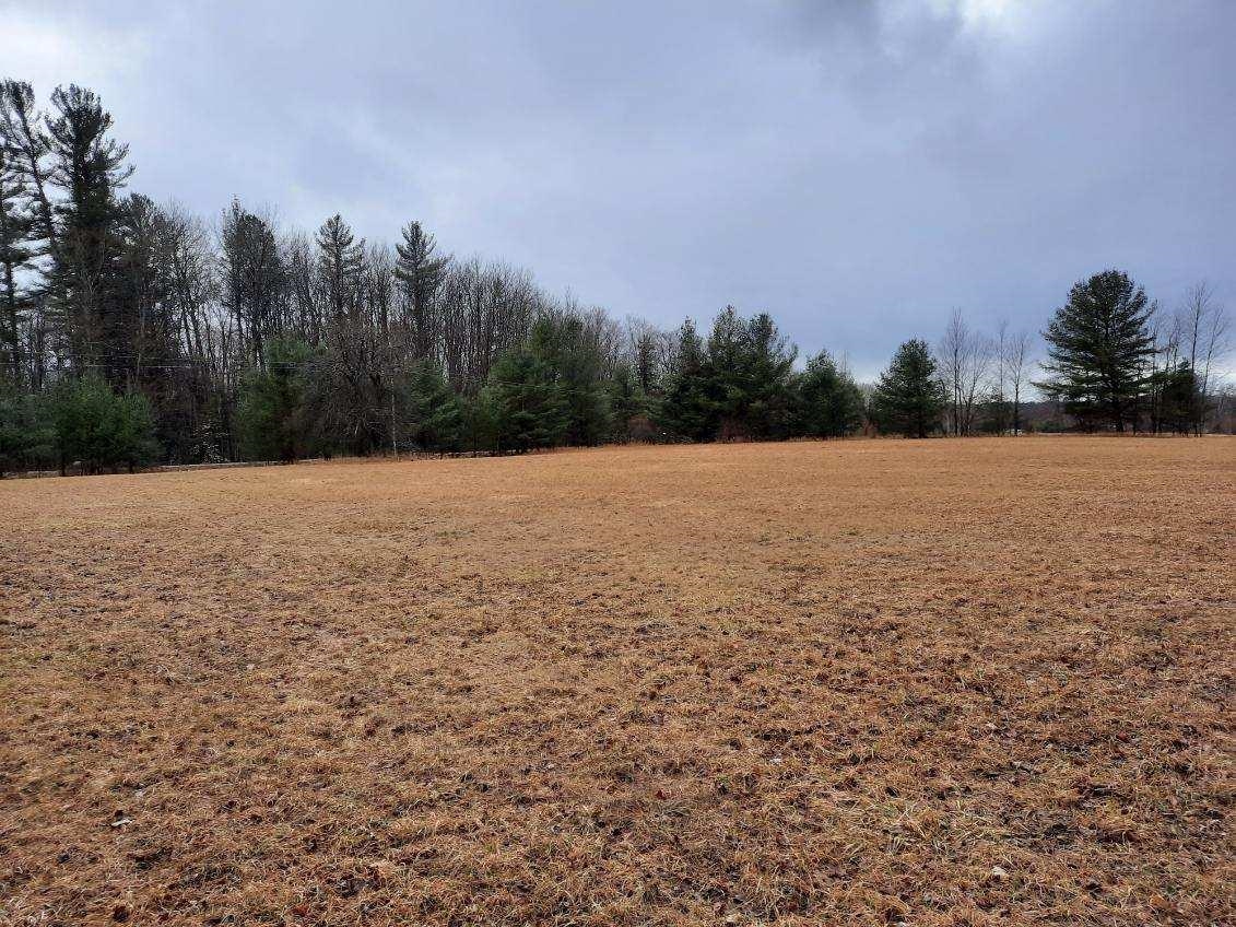 Kings Corner Road Mikado, MI 48745 - Photo 5 of 6
