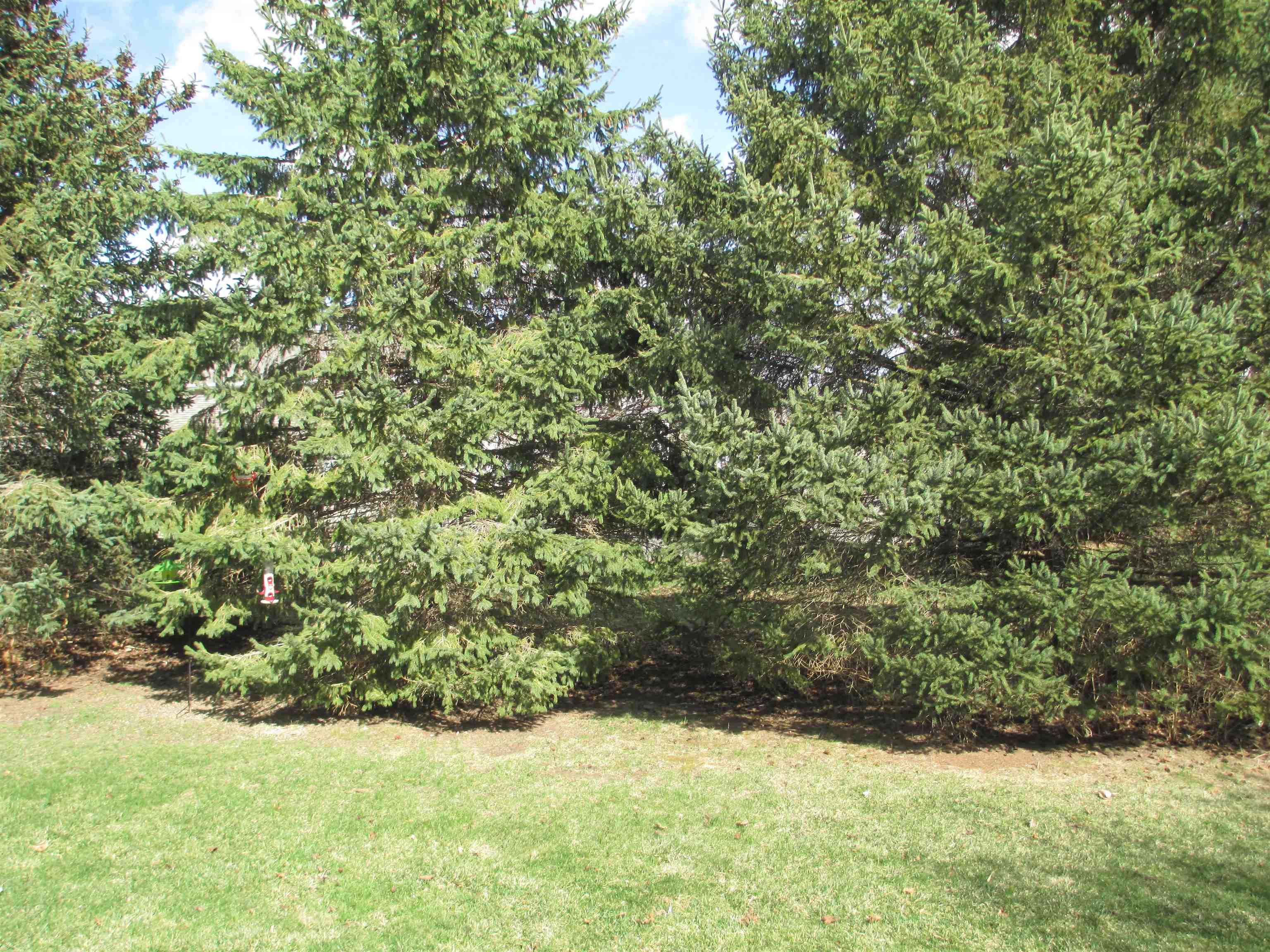 1344 Silver Drive, Unit 19 Baraboo, WI 53913 - Photo 3 of 11