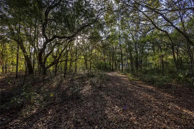 $325,000 | 8931 Northeast 118th Terrace, Bronson, FL 32621