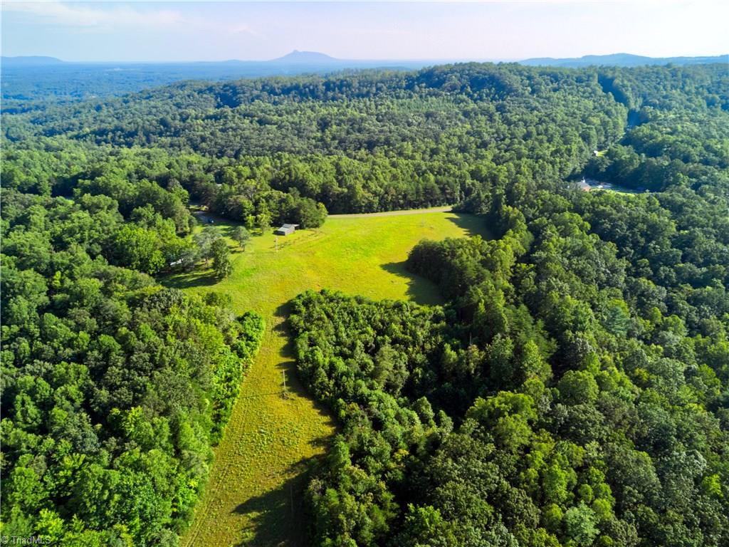 1463 Mount Herman Church Road Mount Airy, NC 27030 - Photo 17 of 28