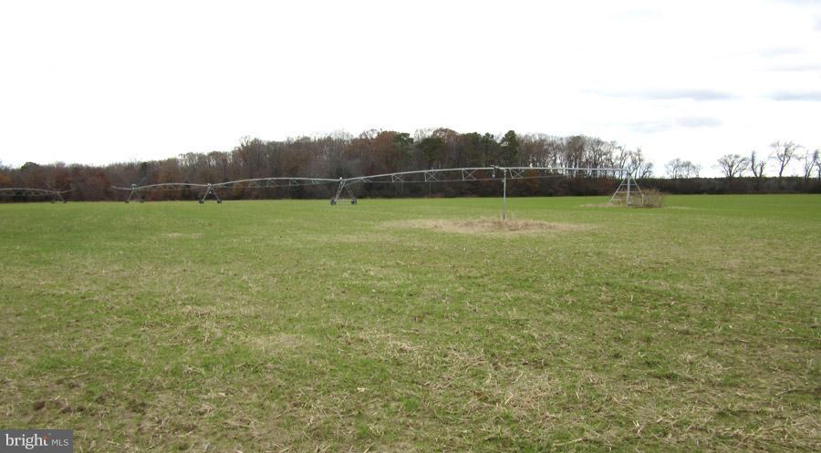 4930 Williamsburg Church Road Hurlock, MD 21643 - Photo 15 of 18 Gallery Image 15