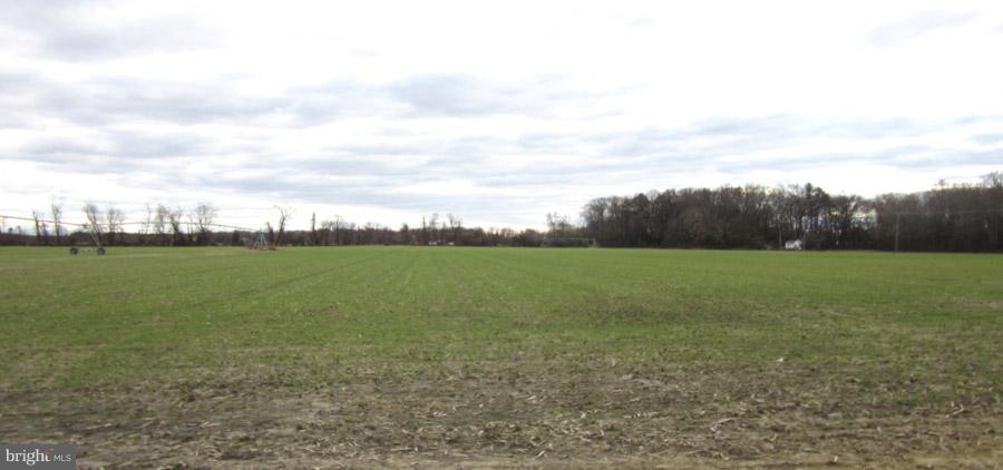4930 Williamsburg Church Road Hurlock, MD 21643 - Photo 18 of 18 Gallery Image 18