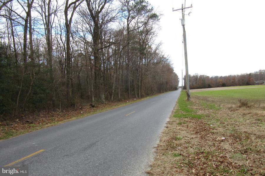 4930 Williamsburg Church Road Hurlock, MD 21643 - Photo 4 of 18 Gallery Image 4