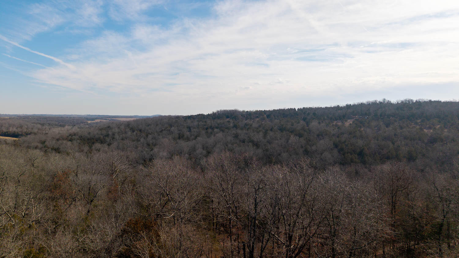 0 Rimstone Lane Gainesville, MO 65655 - Photo 15 of 17 23 acres013