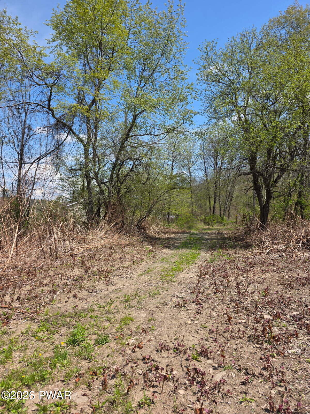 33 Bucks Road Susquehanna, PA 18847 - Photo 8 of 18