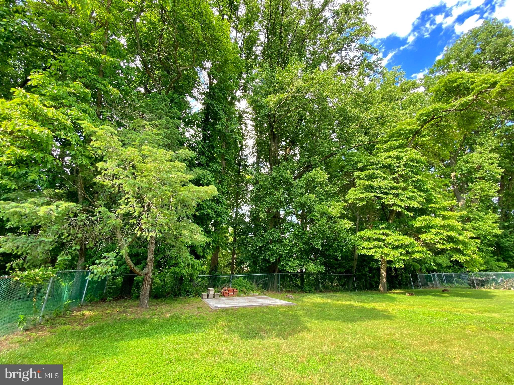 226 Winding Way Road Stratford, NJ 08084 - Photo 56 of 57 View of woods from back