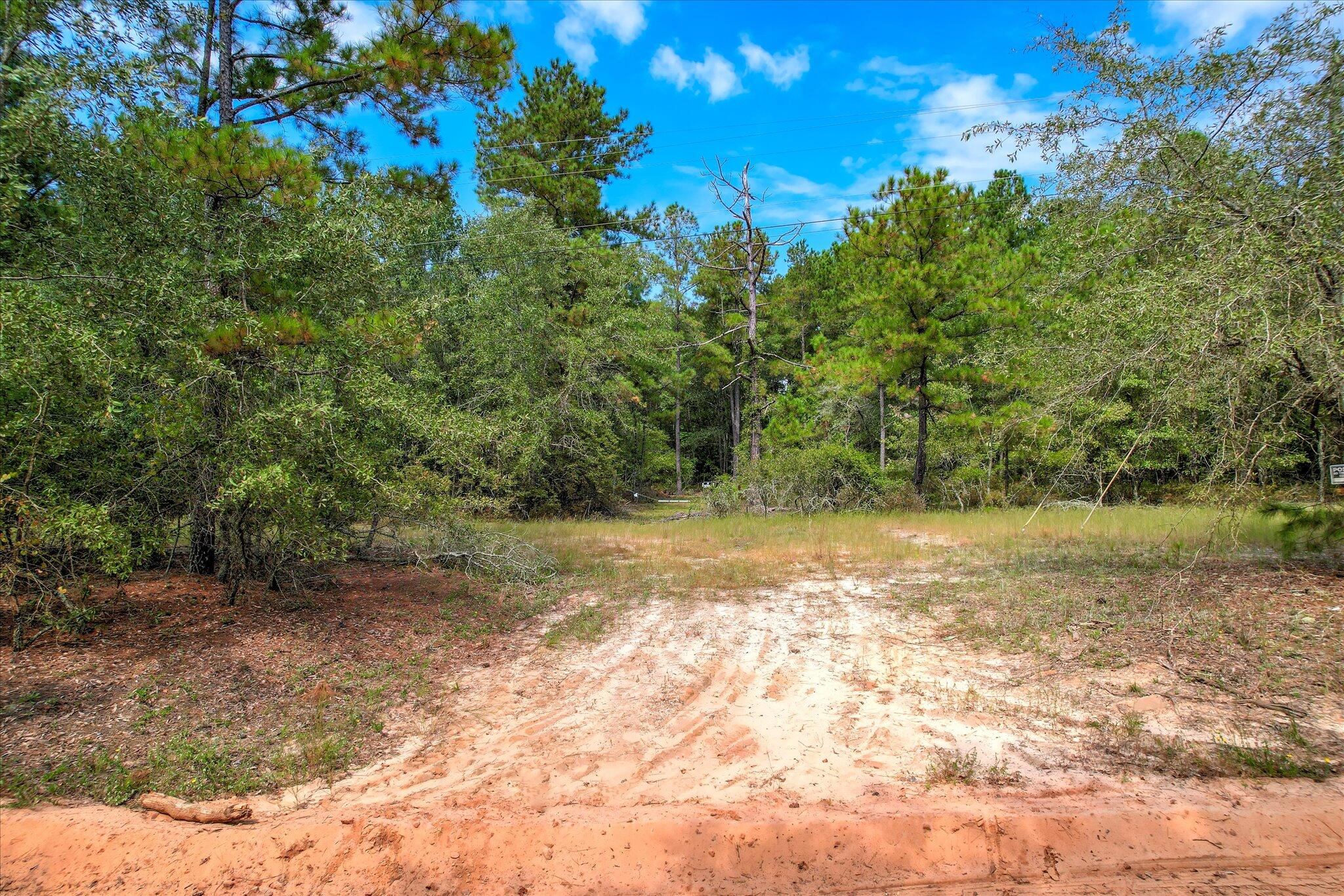 001 A Centerwood Road Williston, SC 29853 - Photo 18 of 19