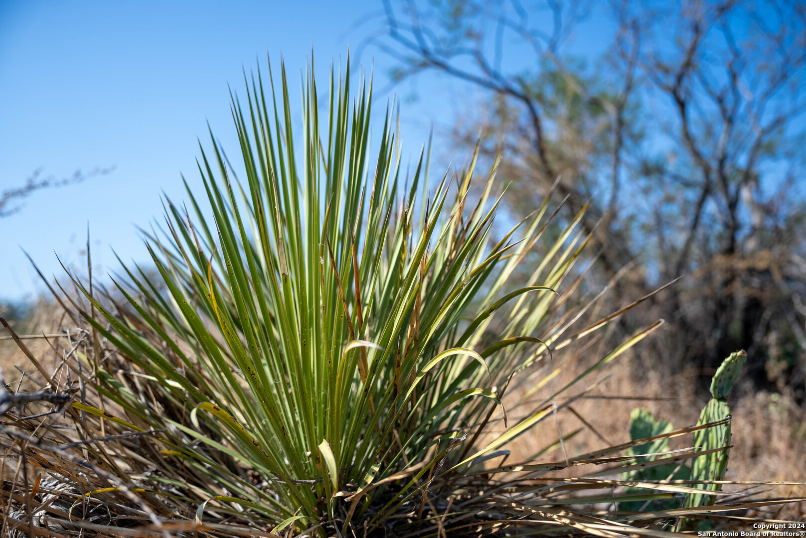 11865 West Ranch Road 152 Llano, TX 78643 - Photo 14 of 27