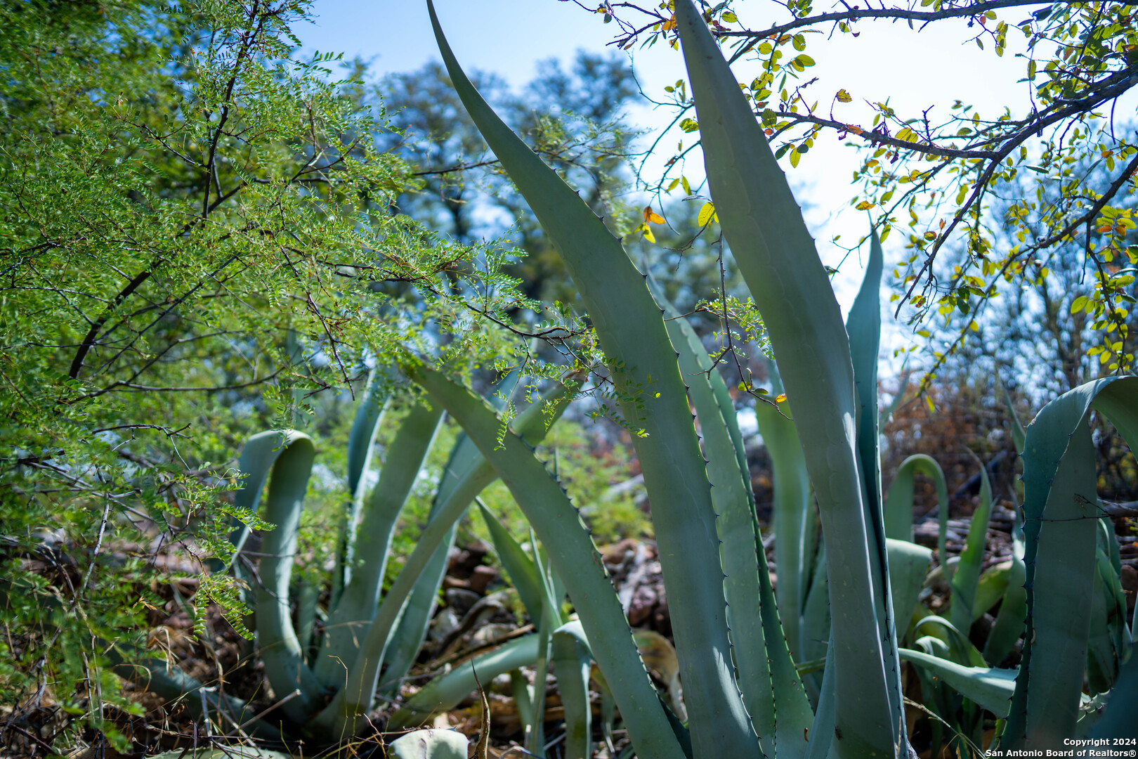 11865 West Ranch Road 152 Llano, TX 78643 - Photo 21 of 27