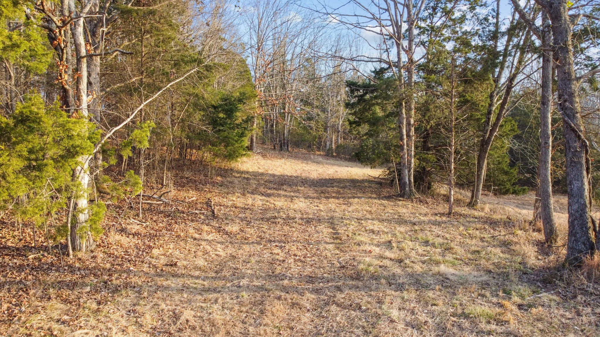 1672 Rabe Coats Road Westmoreland, TN 37186 - Photo 14 of 25