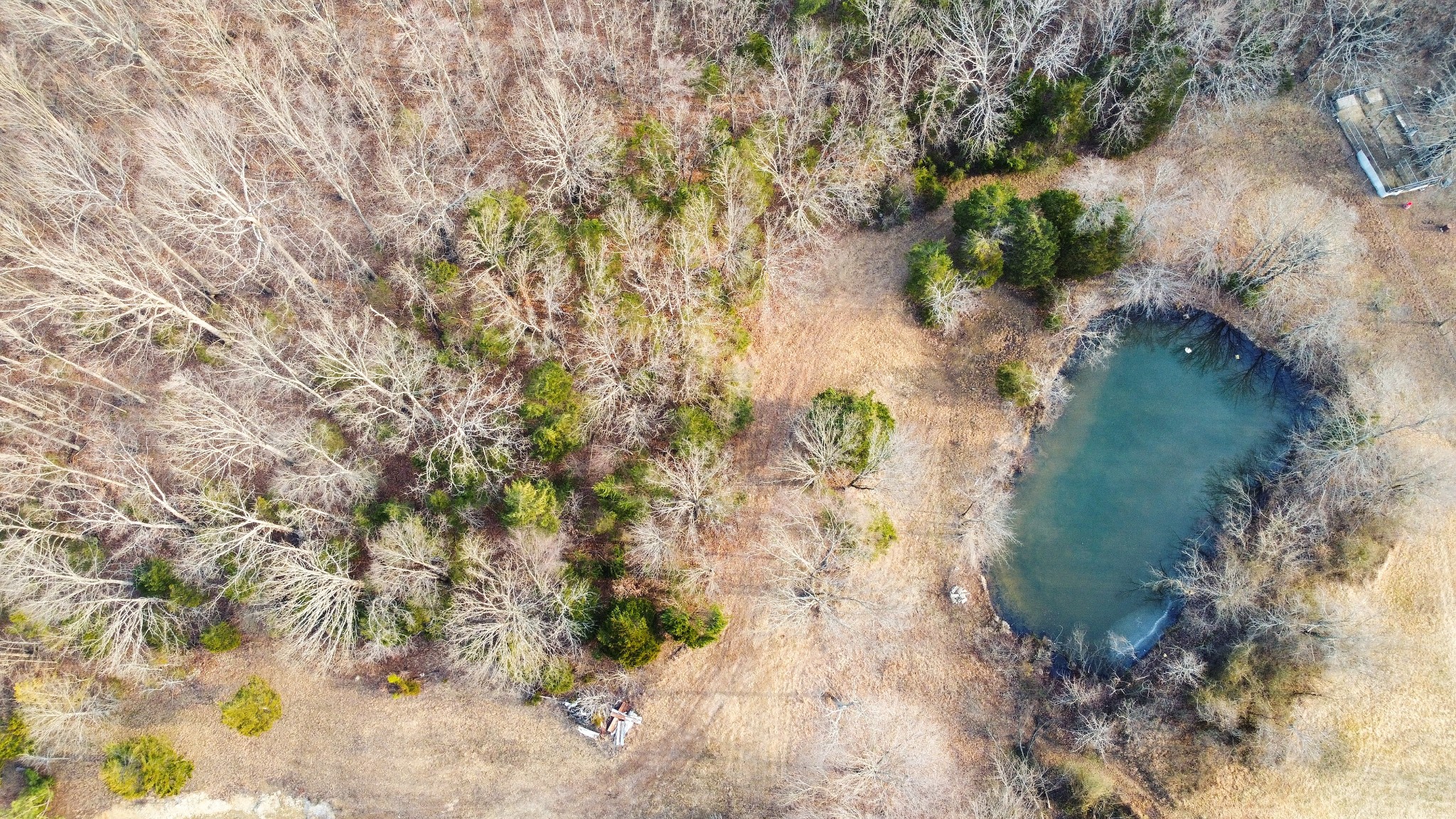 1672 Rabe Coats Road Westmoreland, TN 37186 - Photo 19 of 25