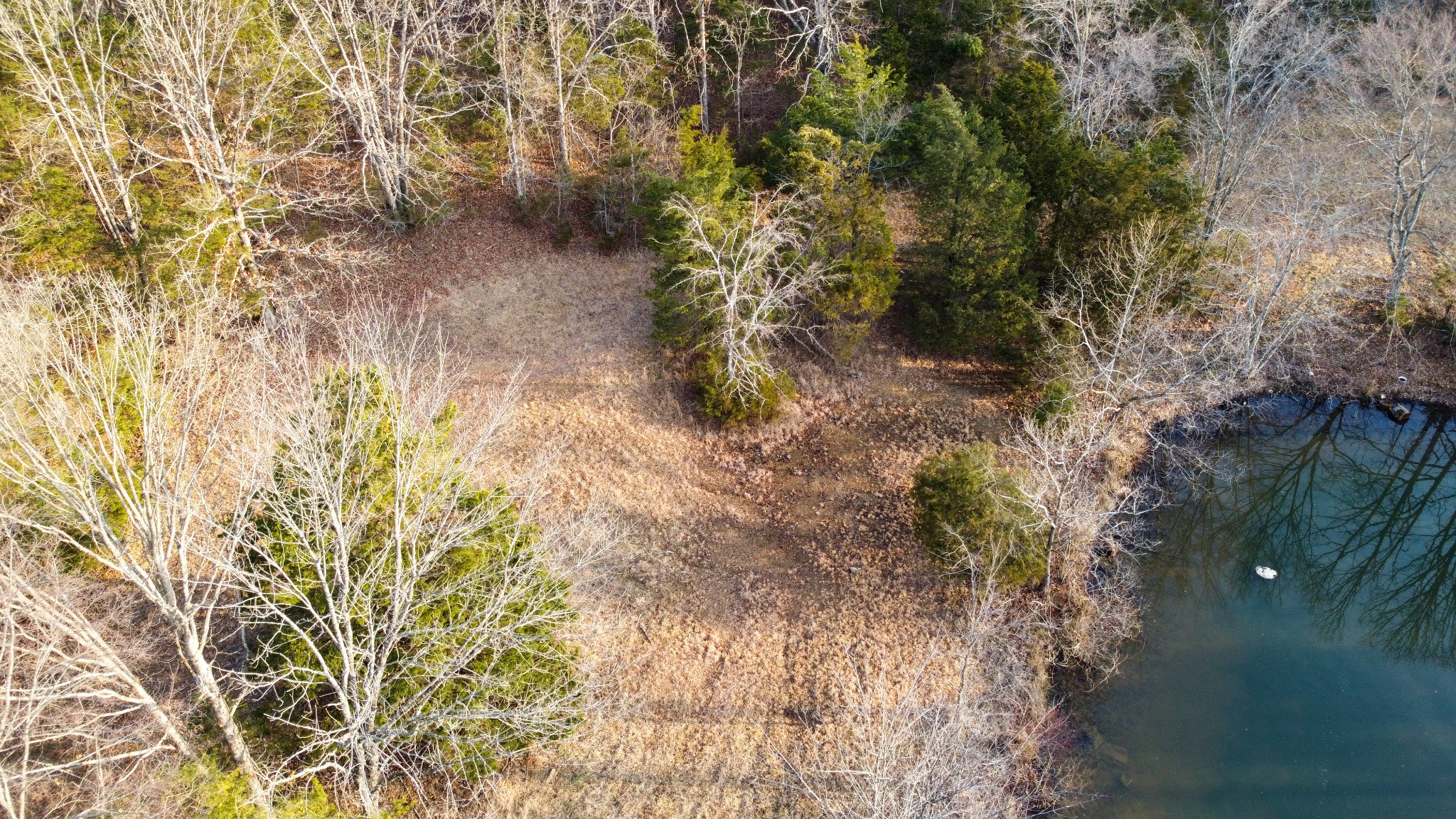 1672 Rabe Coats Road Westmoreland, TN 37186 - Photo 20 of 25