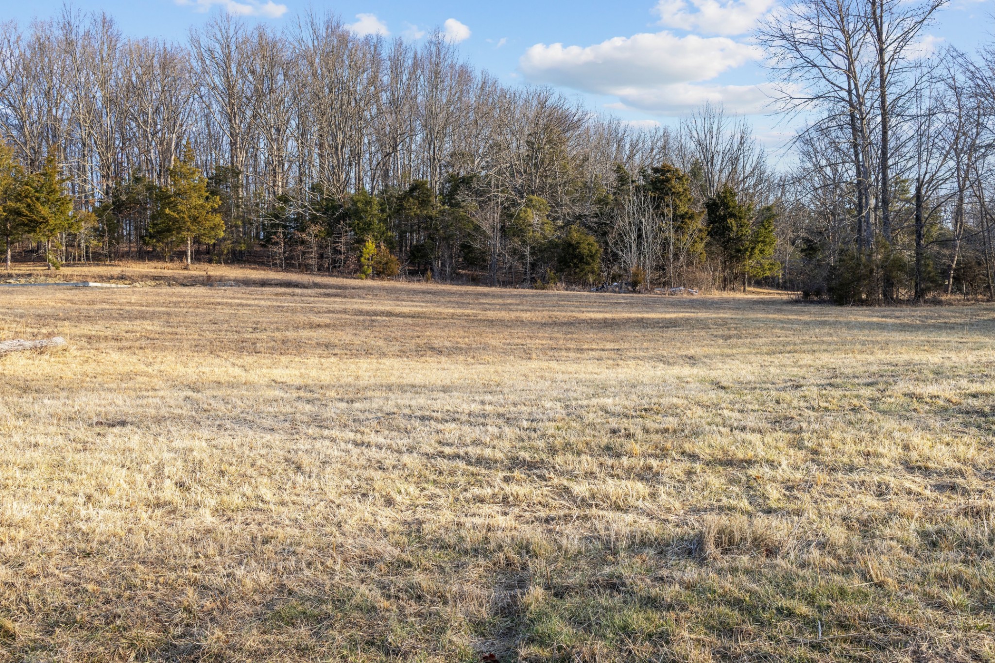 1672 Rabe Coats Road Westmoreland, TN 37186 - Photo 23 of 25