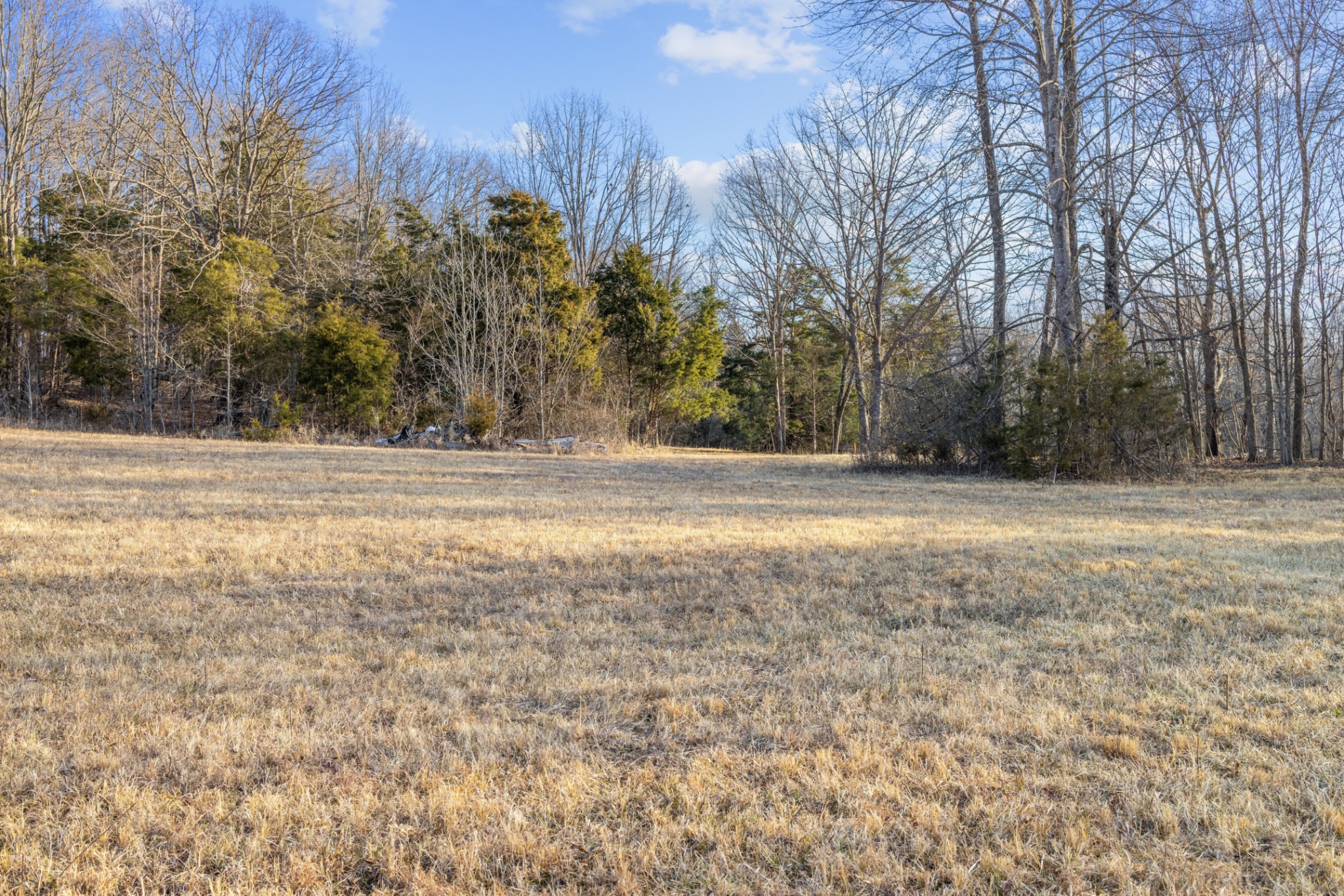 1672 Rabe Coats Road Westmoreland, TN 37186 - Photo 24 of 25