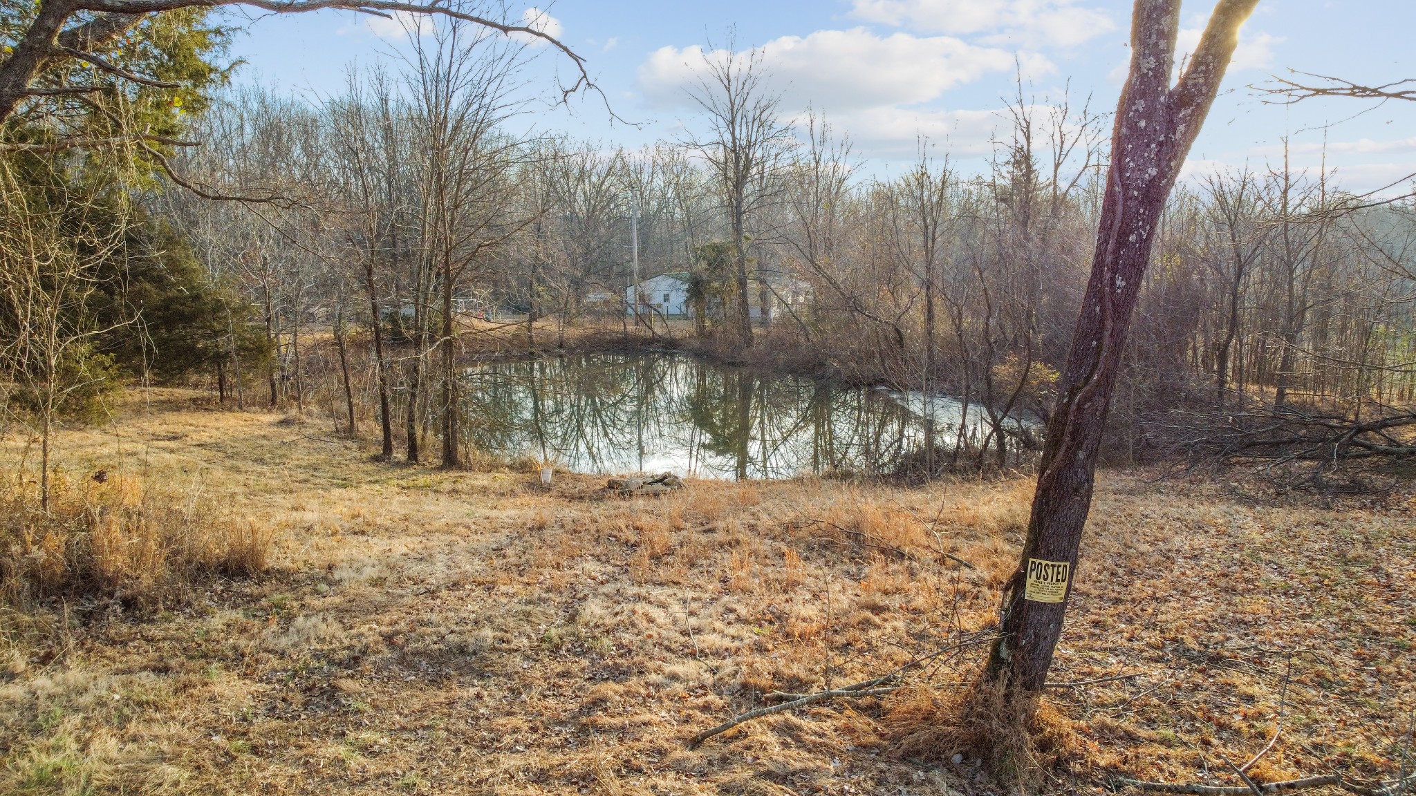 1672 Rabe Coats Road Westmoreland, TN 37186 - Photo 5 of 17