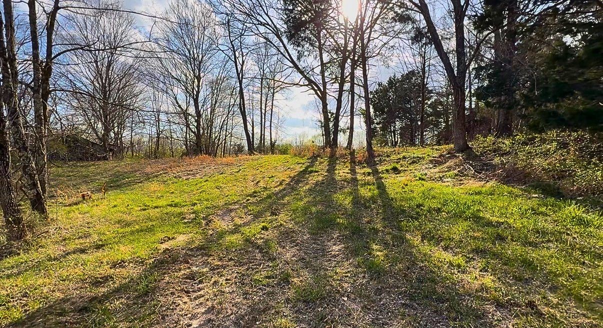 1672 Rabe Coats Road Westmoreland, TN 37186 - Photo 6 of 25