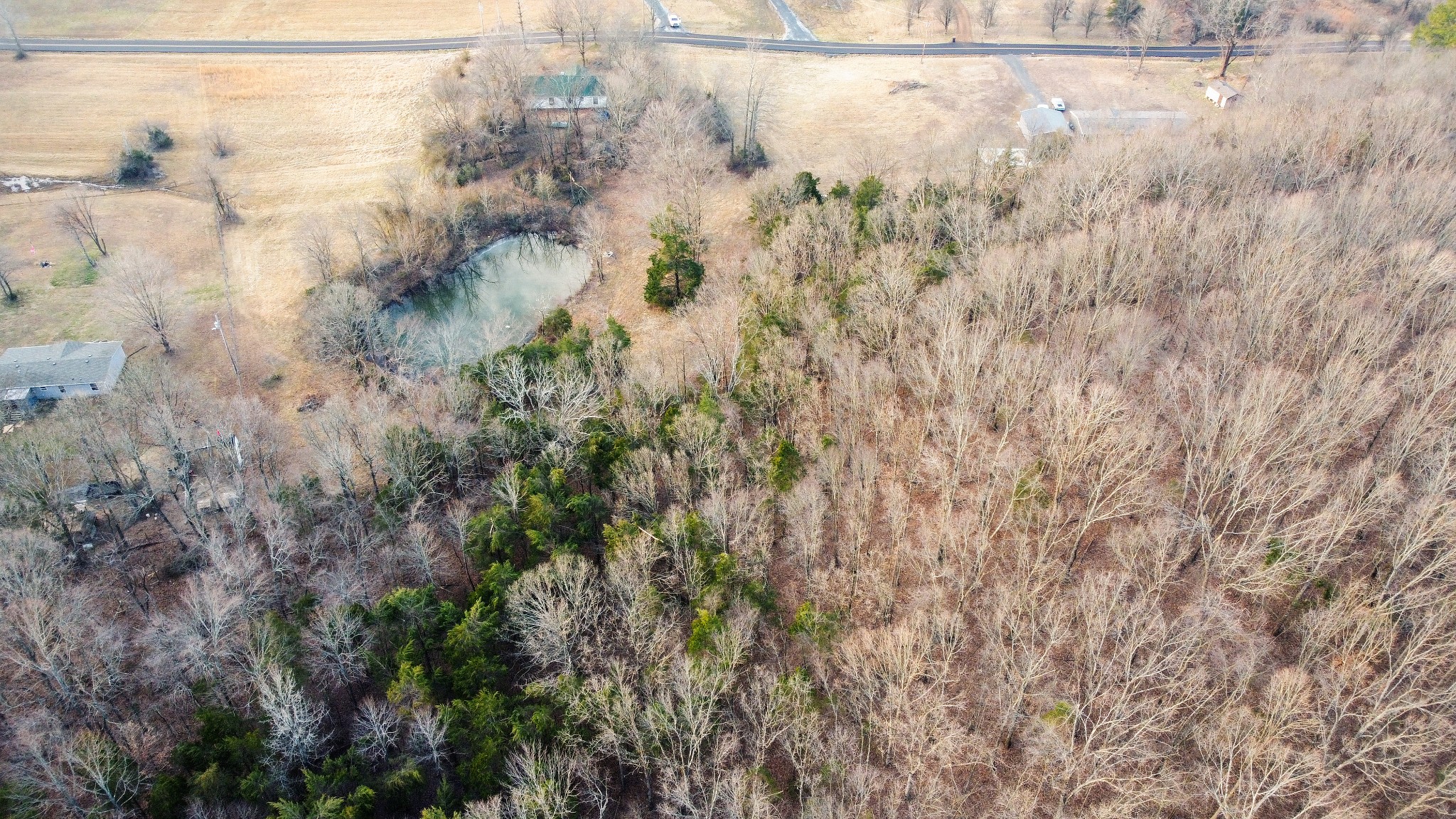 1672 Rabe Coats Road Westmoreland, TN 37186 - Photo 10 of 17